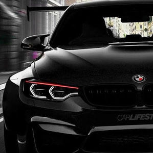 Meet your Posher, Wans